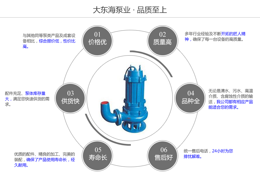 大東海泵業(yè)污水潛水泵質量保證圖