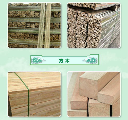 漯河竹笆生產廠家 圣卓建材以服務至上引領建筑建材行業